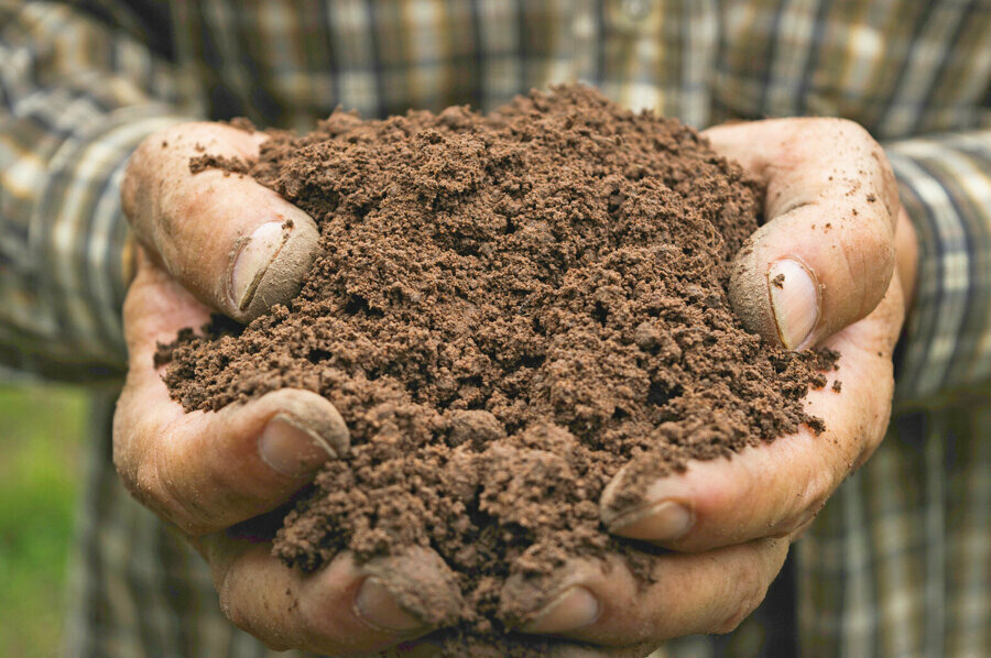 Endüstriyel tarımın tek ürünlü uçsuz bucaksız fakat kısır üretimi ortadayken küçük ölçekli ziraatın çok ürünlü çeşitliliği ve renkliliği enteresan bir şekilde “emek yoğun” denilerek çarçabuk ötelendi.