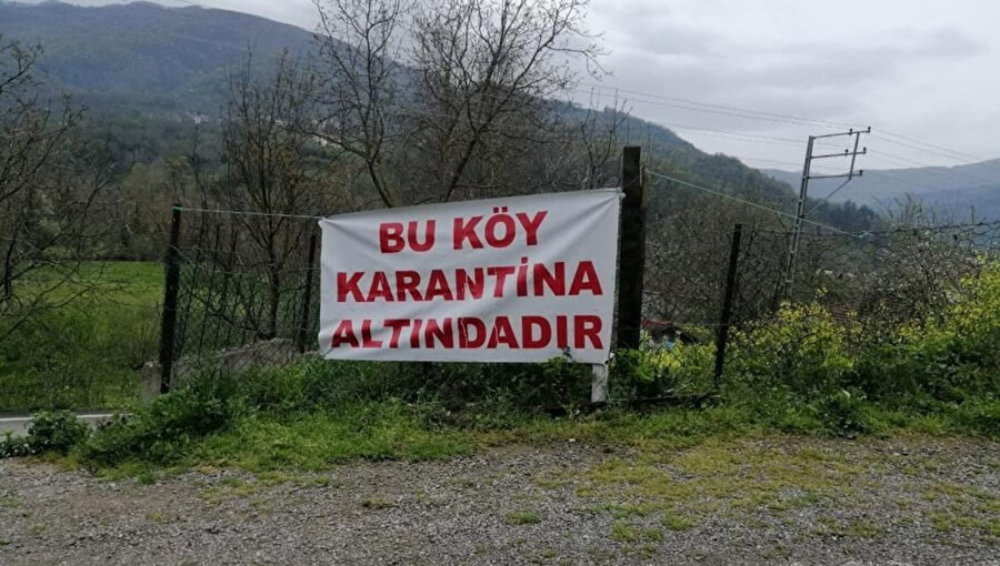 Arşiv