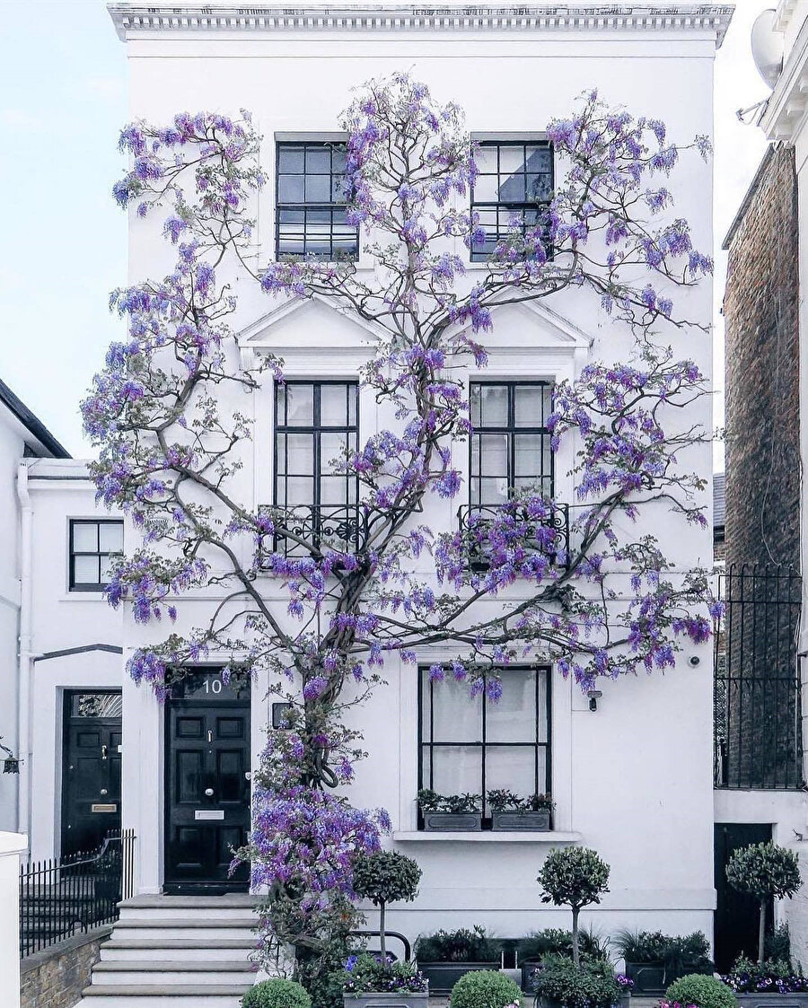 Gurme başkenti: Londra 🌺