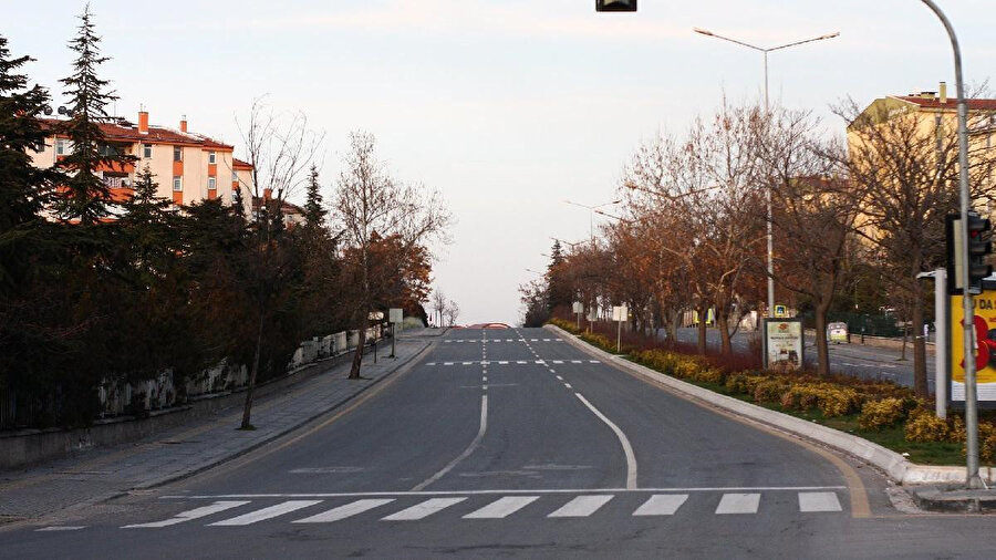 Arşiv