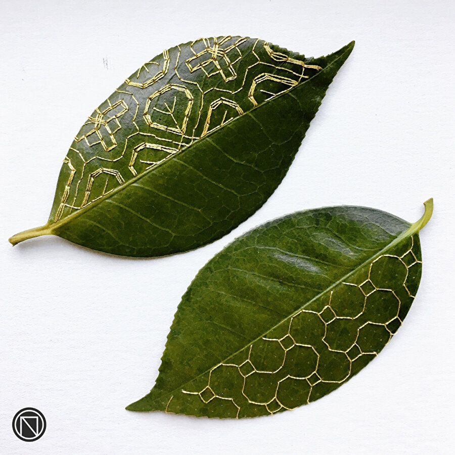 Yapraklara işlenen sanat