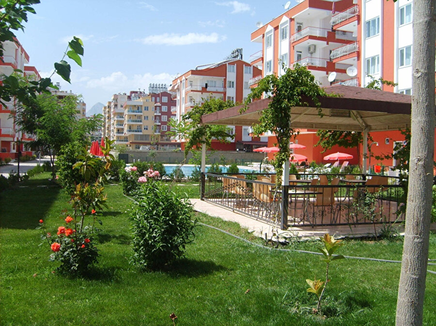 Arşiv