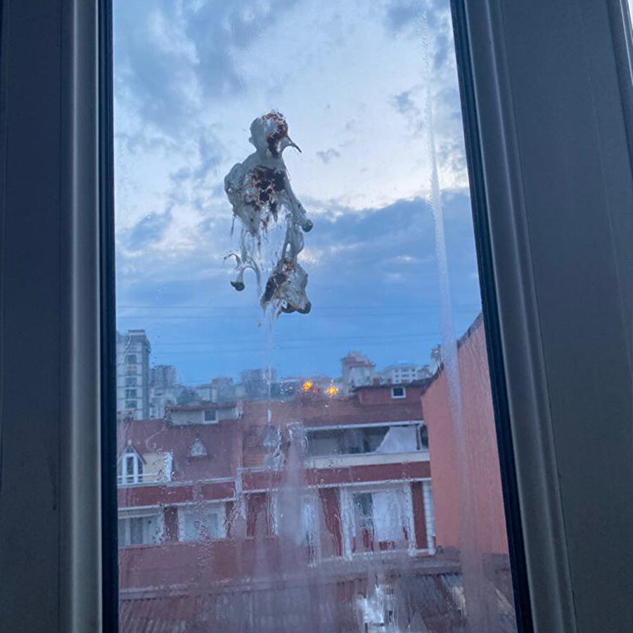 Kuş sanatı diyelim