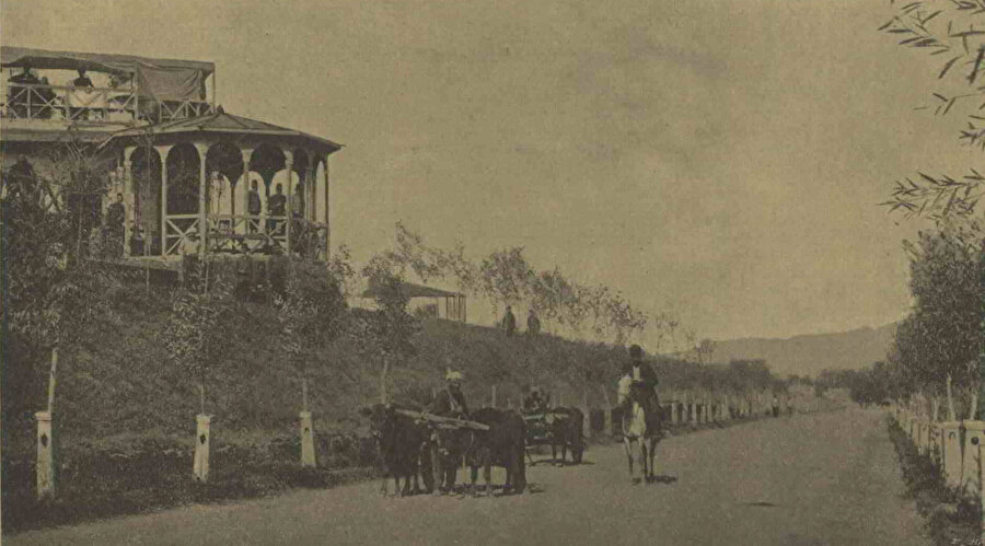 1903 yılında Erzurum'da yol ağaçlandırmaları ve belediye bahçesi, Foto Servet-i Fünun
