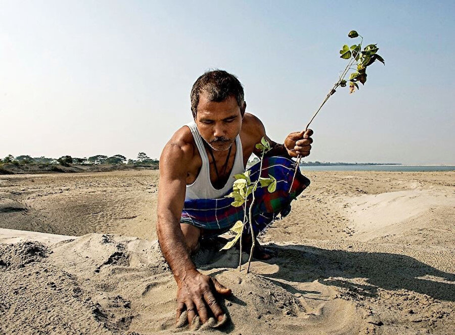 Jadav “Molai” Payeng