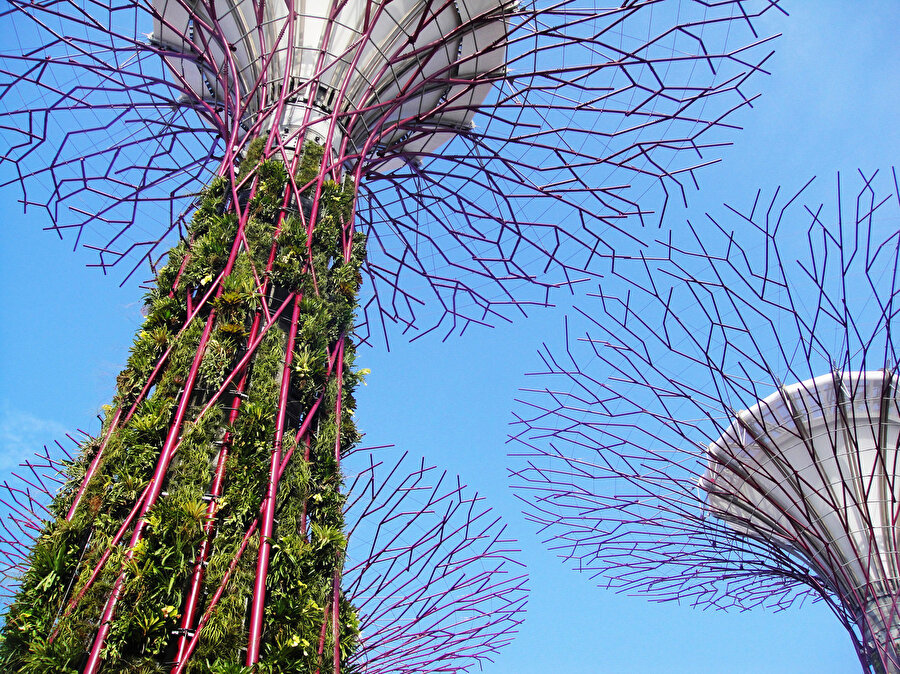 Süper Ağaçlar, kentlerdeki gökdelenleri simgeliyor.