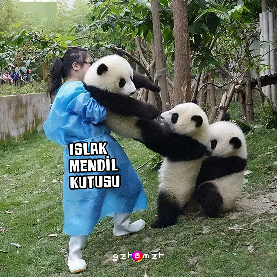 Bir tane ıslak mendil alırken diğer mendiller