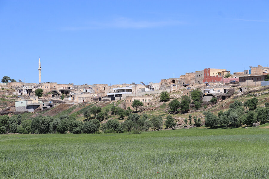 500 kişilik mahallede hiç koronavirüs vakası görülmedi