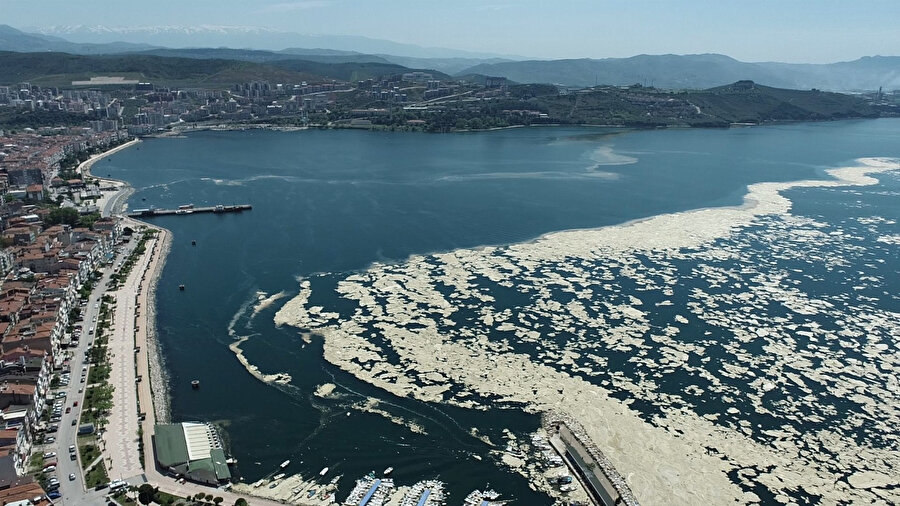 Salyalar kaplamıştı: Bir gecede eski haline döndü