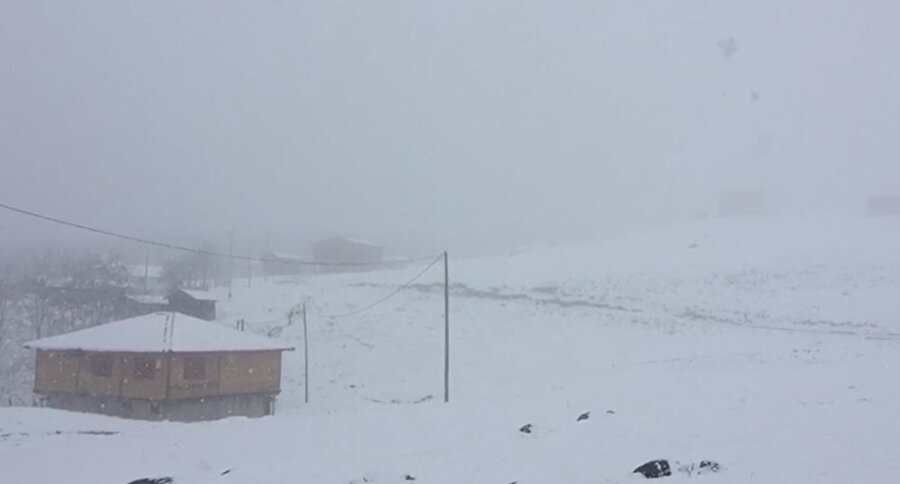 Karadeniz yaylaları Mayıs ayında kara teslim oldu