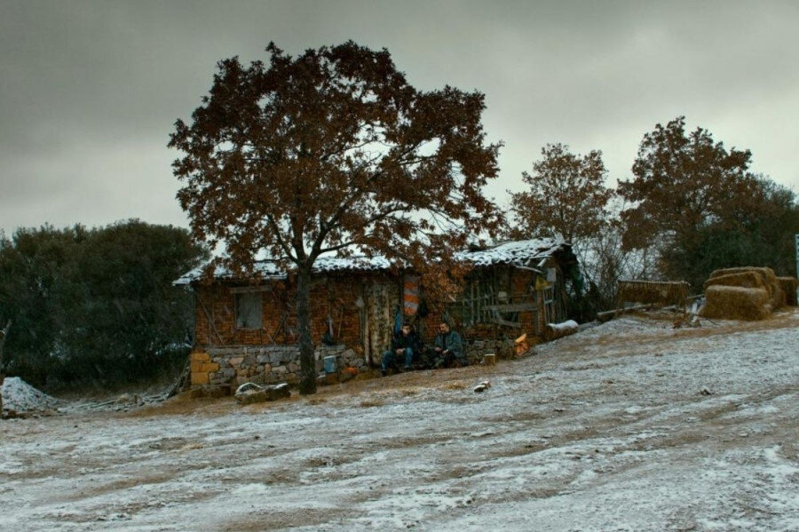 Ahlat Ağacı- Nuri Bilge Ceylan