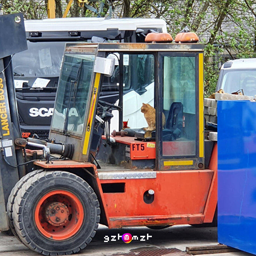 İşçiye tatil yok kardeşim...​