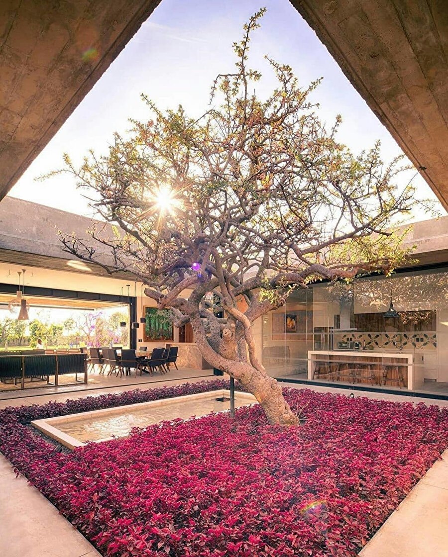 Farklı tarzdaki avlular