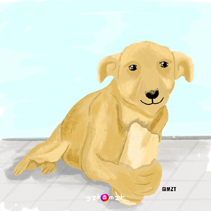 Sefalet köpeği sefil hayatından kurtarıp hak ettiği yerlere götürdük