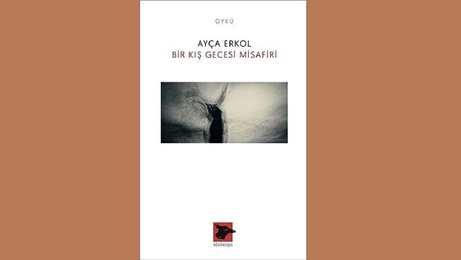 Bir Kış Gecesi Misafiri