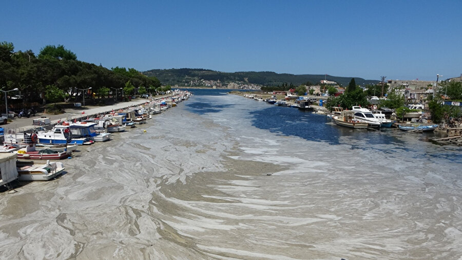Deniz salyası denizlerden sonra nehirleri de esir aldı