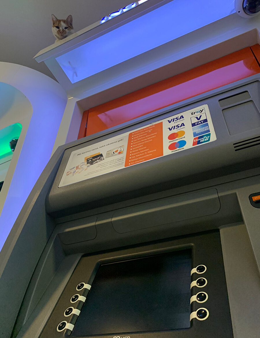 Yapmadığınız bir dolandırıcılık kalmıştı