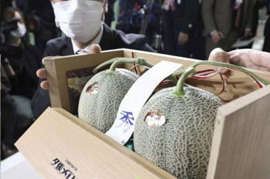Japonya’daki kavun