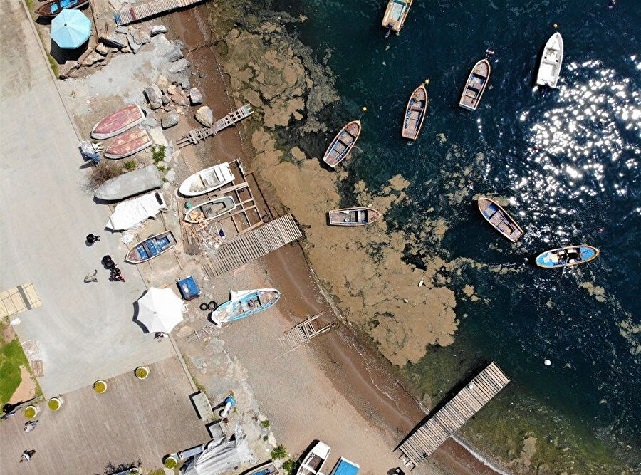 Marmara ne zaman müsilajdan temizlenir?