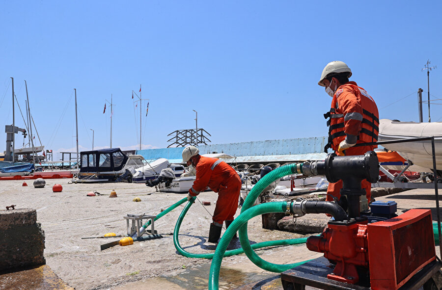 İlk adım atıldı: Caddebostan Sahili'nde müsilaj temizliği başladı