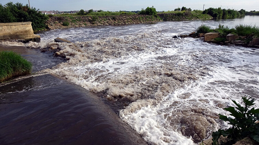 Yıldız Dağları'ndan berrak doğan Ergene Nehri, Trakya'da zehir saçıyor