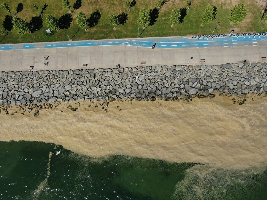 Müsilaj yer değiştiriyor: Deniz salyası bu kez Bakırköy kıyılarını sardı