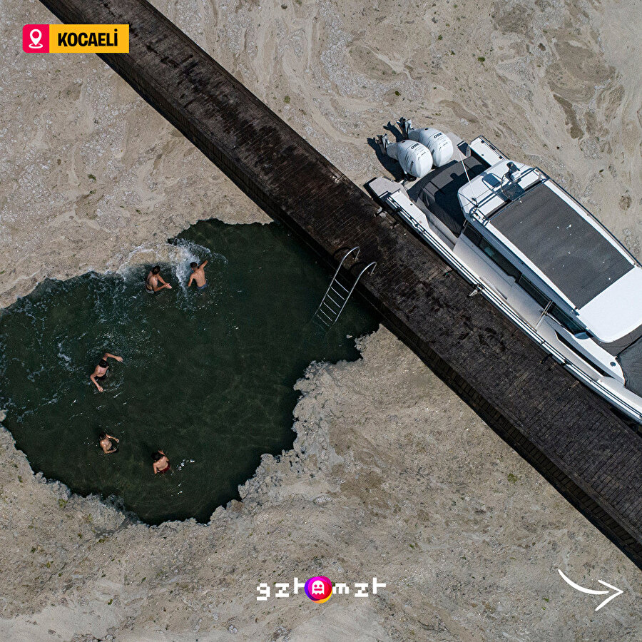 Aynen hayatım musilaj beachteyiz arkadaşlarla, Edvard Munch ve Van Gogh da bizimle