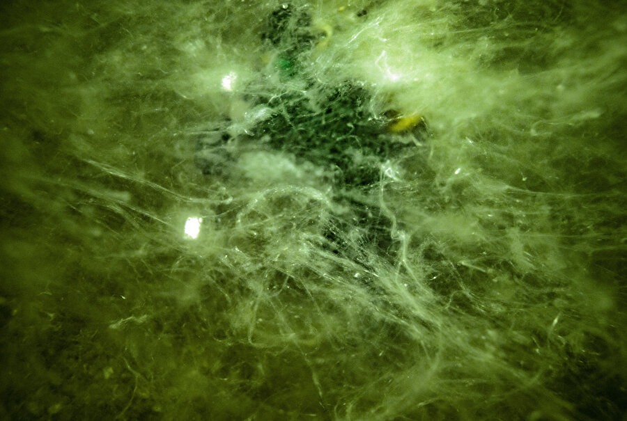 Marmara'da denizin dibi de alarm veriyor