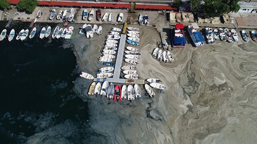 Lodos müsilajı geri getirdi: Kıyılar tekrar kaplandı