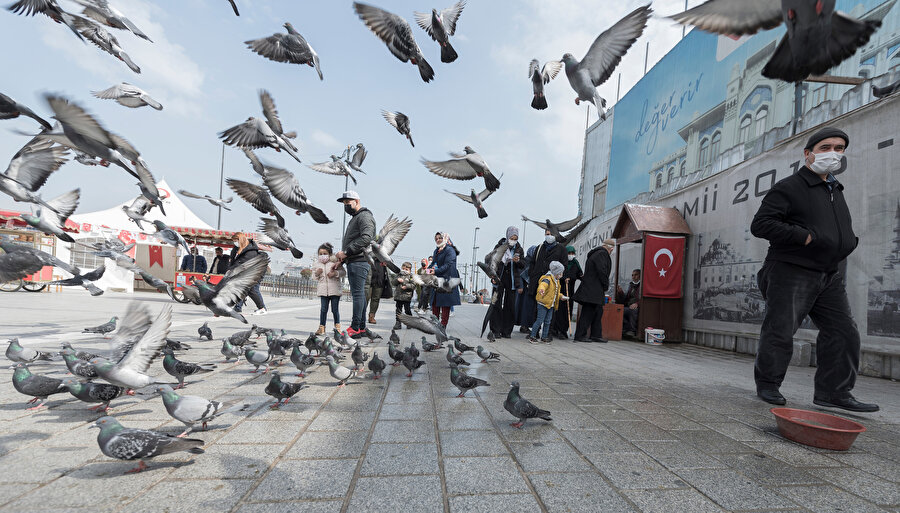 Fotoğraf: Sedat Özkömeç