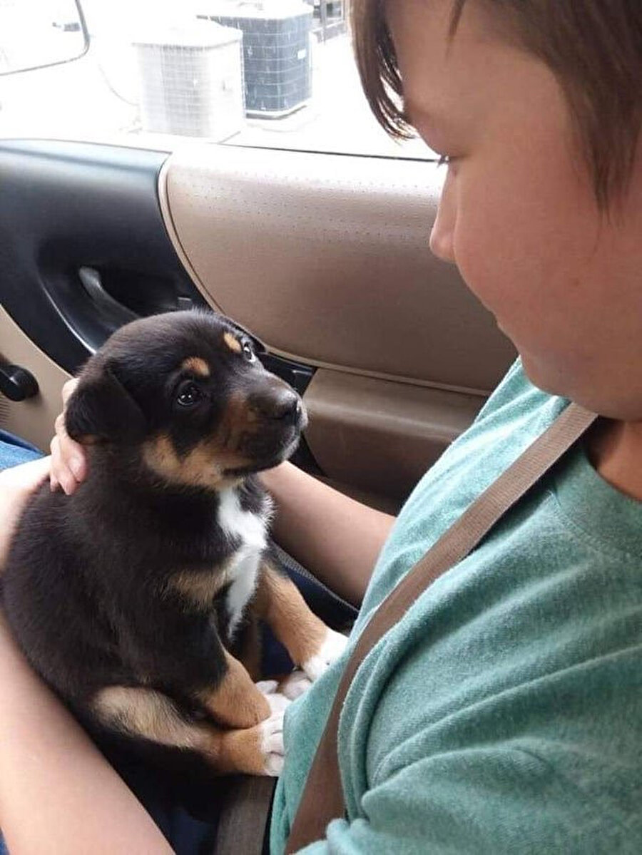 Barınaktan köpek almışlar 🥺