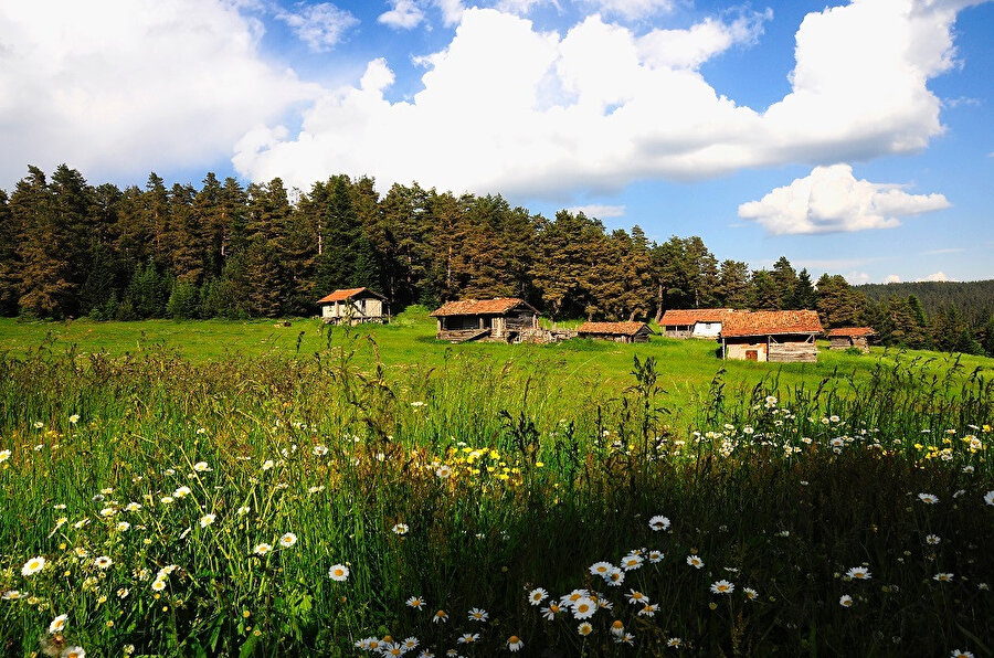 Kastamonu, Türkiye Cumhuriyeti'nin Karadeniz Bölgesi'nde yer alan Kastamonu ilinin merkez şehridir.