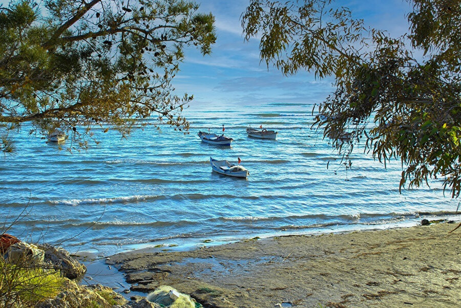 Aydın, Türkiye'nin bir ili ve en kalabalık yirminci şehridir. Ege Bölgesi'nde yer alan, turizm ve tarım açısından en gelişmiş illerdendir.