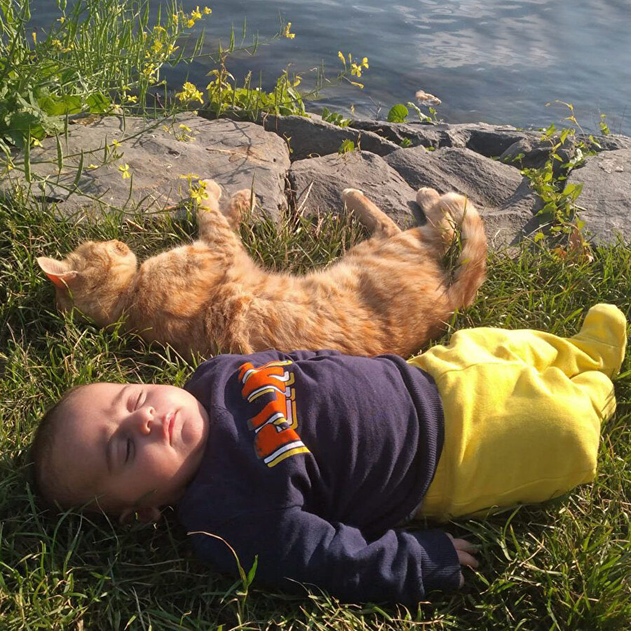 ​Sabah pozitifliği gelmiştir