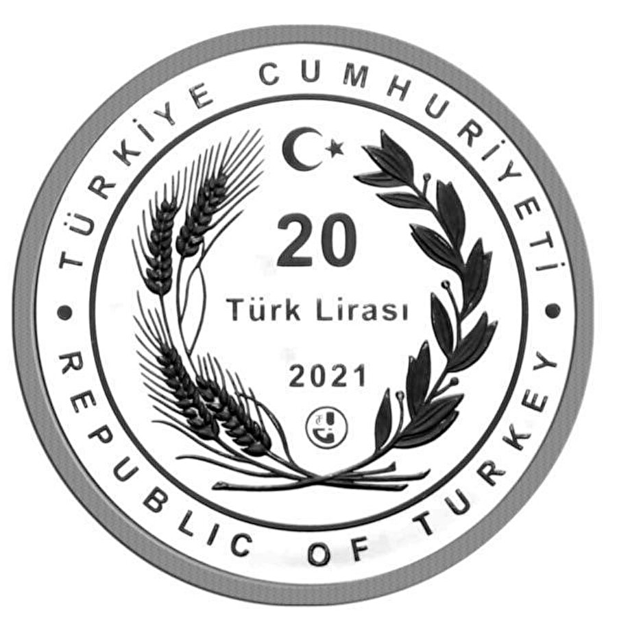 Paranın arka yüzü