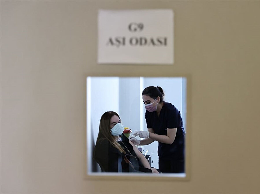 Arşiv