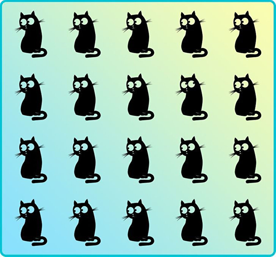 Kısa sürede farklı silüetleri bulabilecek misin?