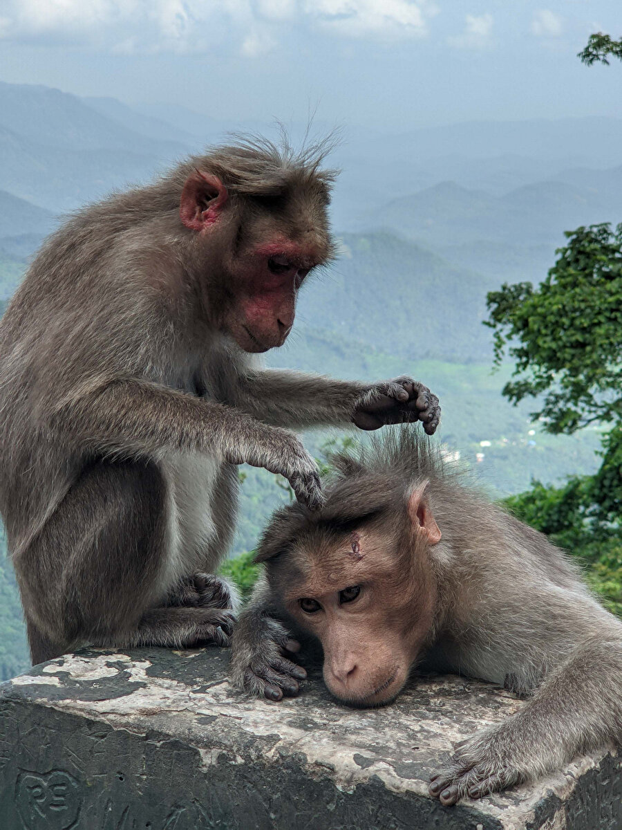 Annem kafamda bit arıyor