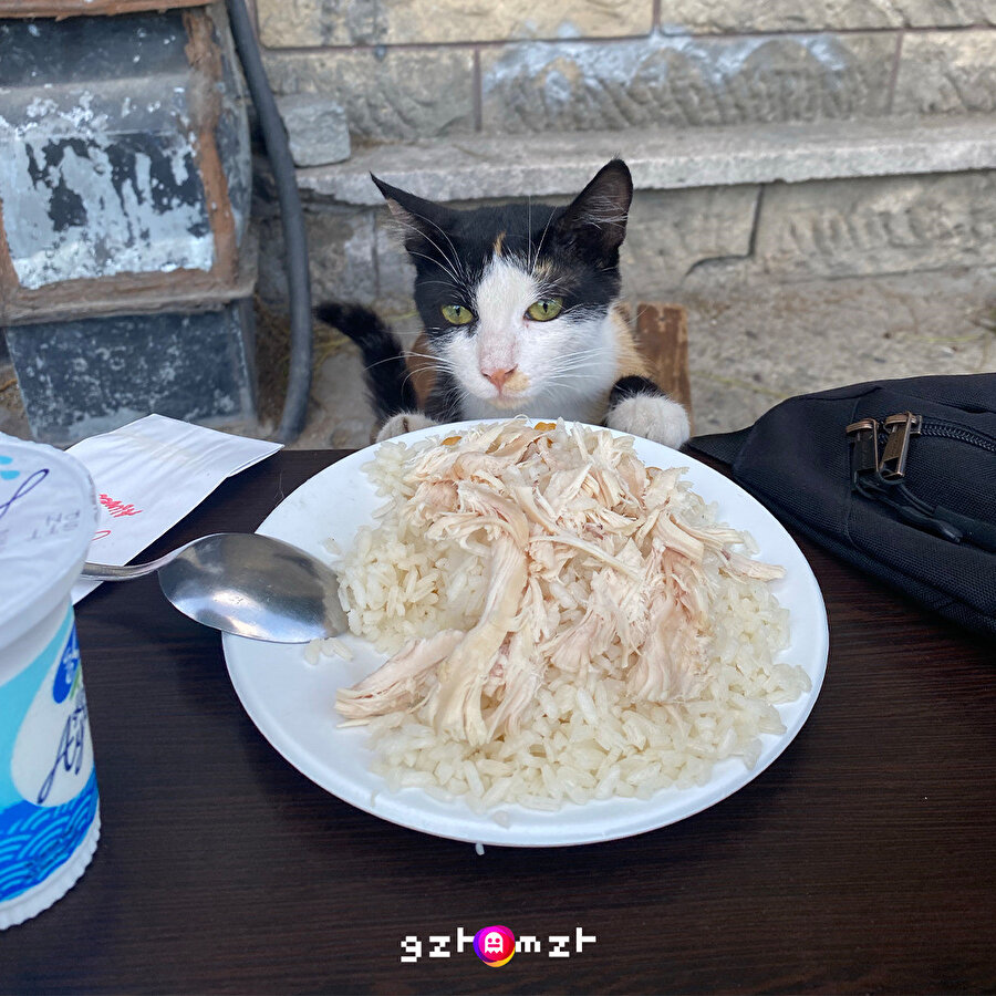 İlk buluşmada beni getirdiği yere bakın! 😾