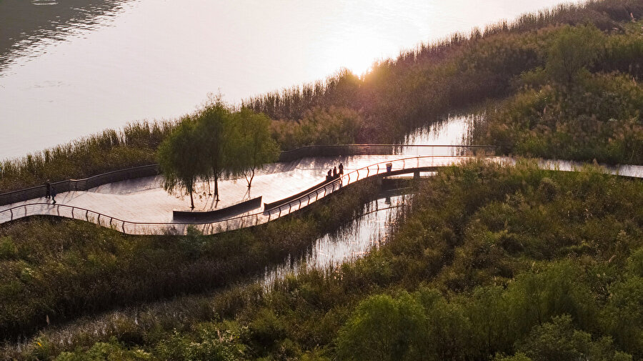Yujidao Park projesi, kentin ve nehrin birleştiği peyzaj ekolojisine odaklanıyor.