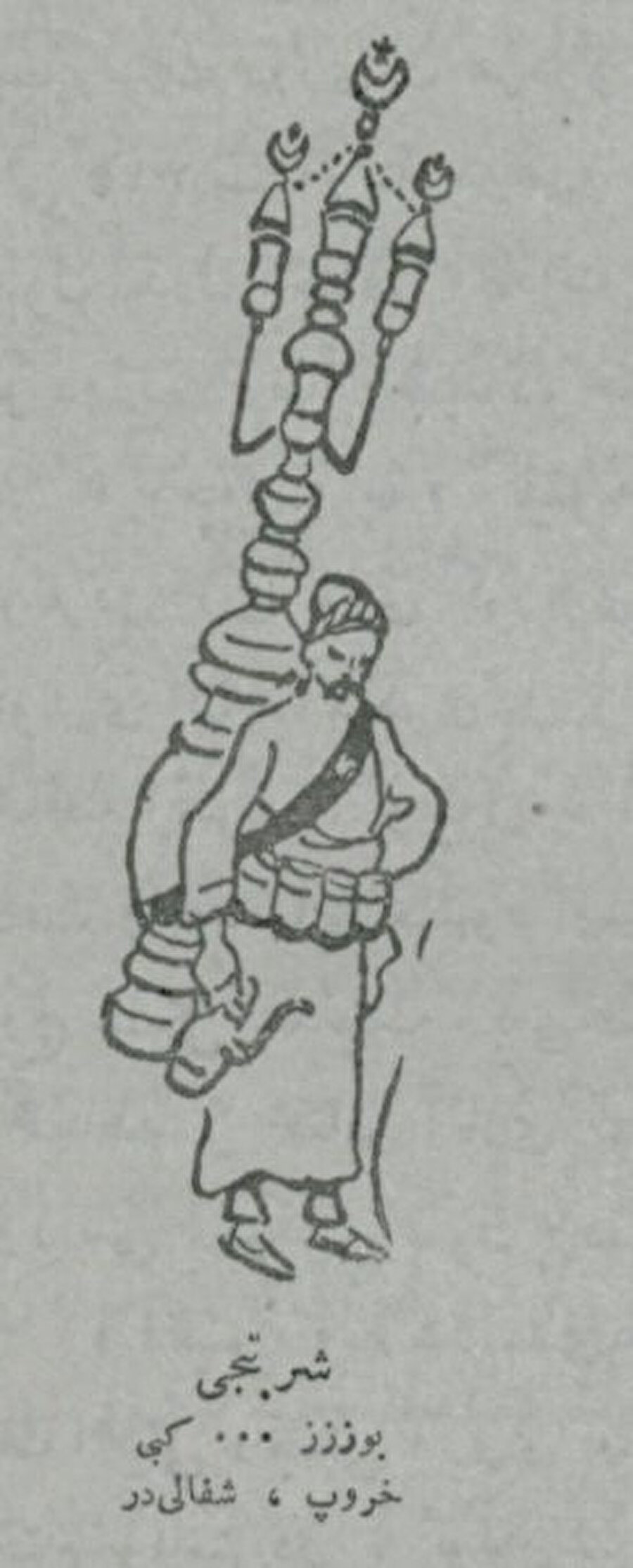 Şerbetçiyi gösteren bir çizim