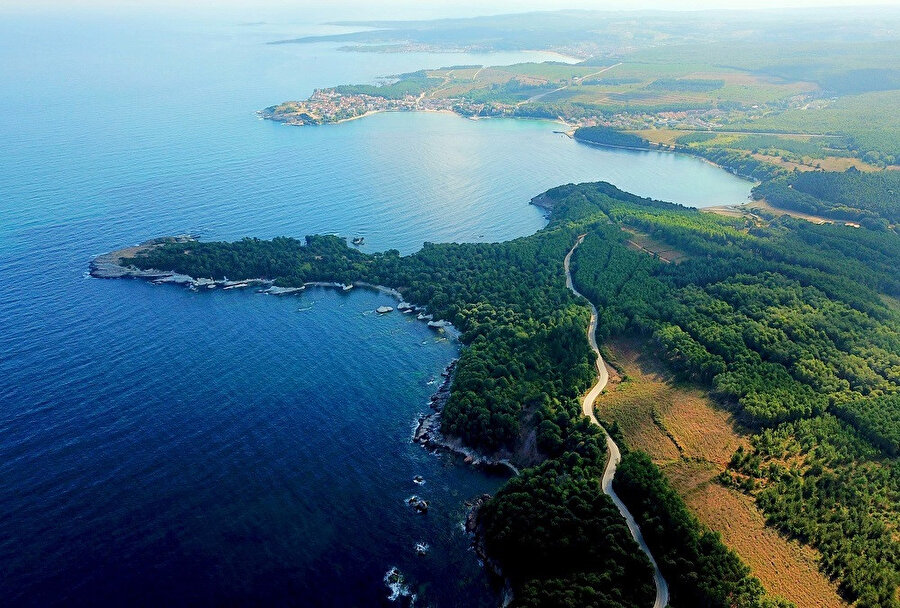 Kerper. Fotoğraf: Mutlu Taşpınar