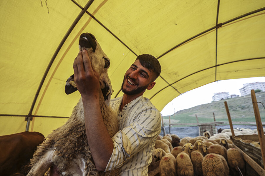 Kurban pazarlarında bayram hareketliliği başladı