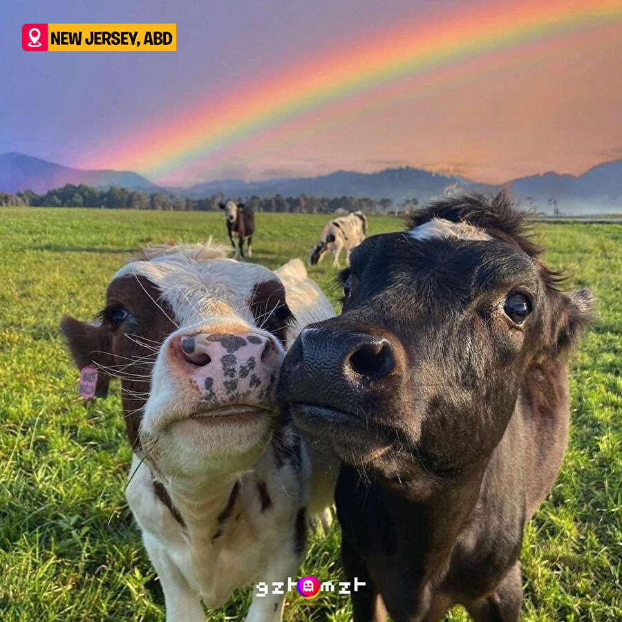 Şöyle fotoğrafımız olmadı...