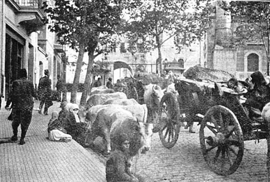 » Canımızı kurtardık ama… Bâbıâli Caddesi’nde öküz arabalarıyla görülen bu yeni muhacir kafileleri, temizlik ve barınma şartlarının yetersizliği nedeniyle şehrin sağlığını da tehdit ediyordu. Ama söz konusu olan mezalimden kurtulan Balkan Müslümanlarının hayatıysa bu sorunlar mutlaka aşılacaktı.