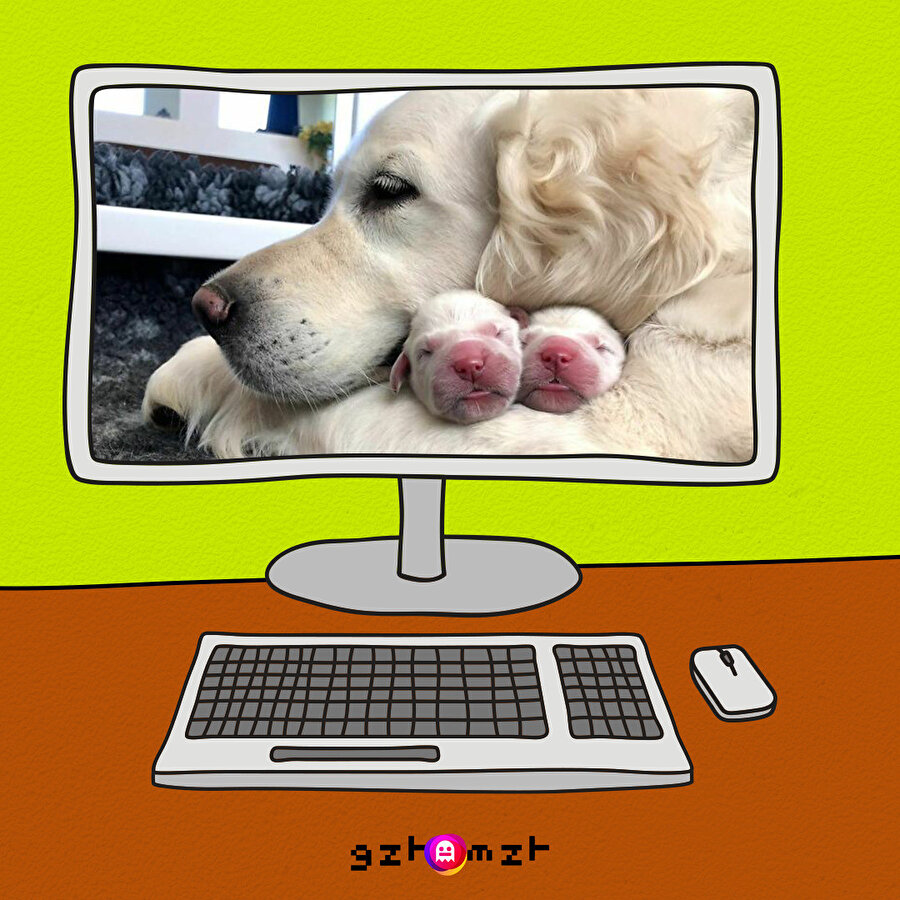 Köpekler anne olursa 🥰