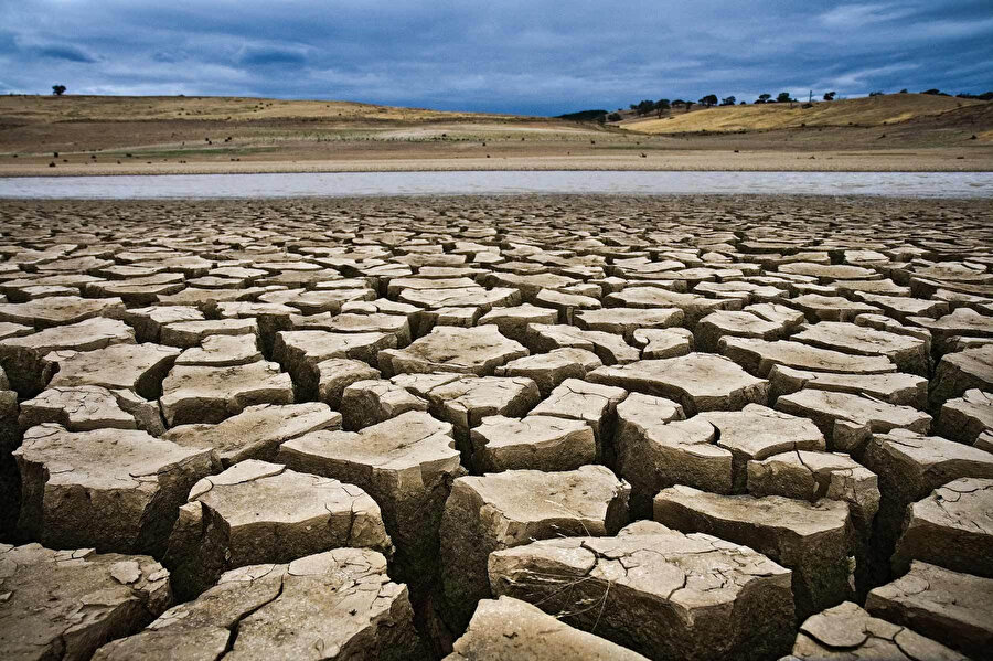 Kanada'da kuralık yaşanıyor