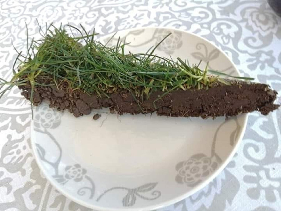 Veganlar için kek yaptık