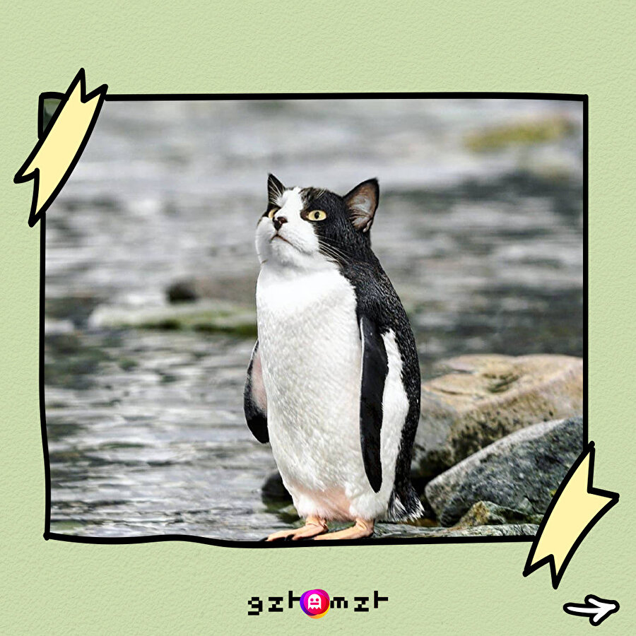 "Önüm, arkam, sağım, solum kedi!"