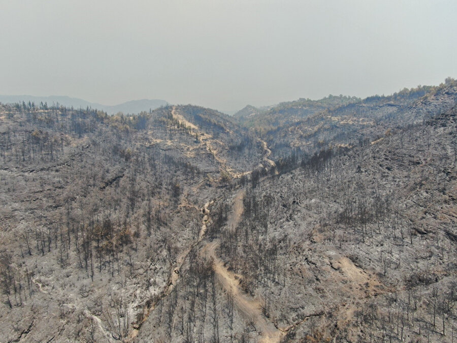 Manavgat’ta söndürülen alanlar havadan görüntülendi